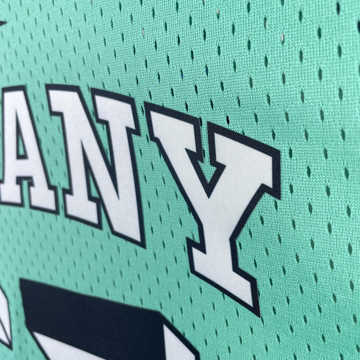 Regata Swingman Tiffany & Co. x NBA x Mitchell & Ness Basketball Jersey